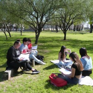 ¿Para qué estudiar una carrera universitaria? Algunas reflexiones en tiempos de escepticismo.