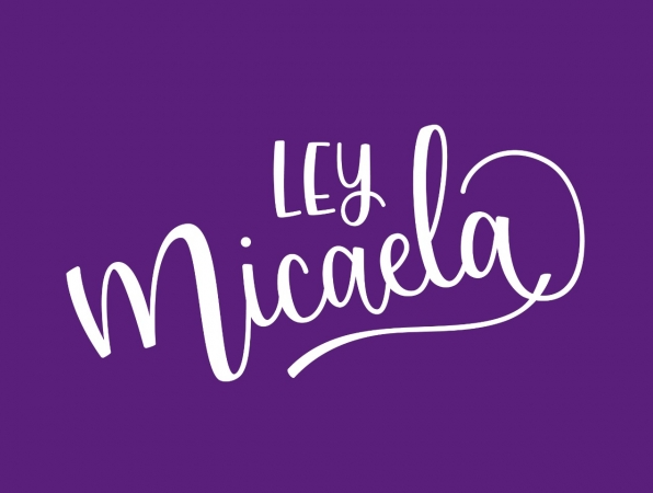 Ley Micaela: reflexiones en torno a la implementación, impactos y apropiaciones