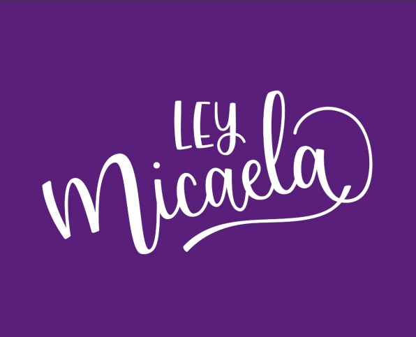Ley Micaela: reflexiones en torno a la implementación, impactos y apropiaciones